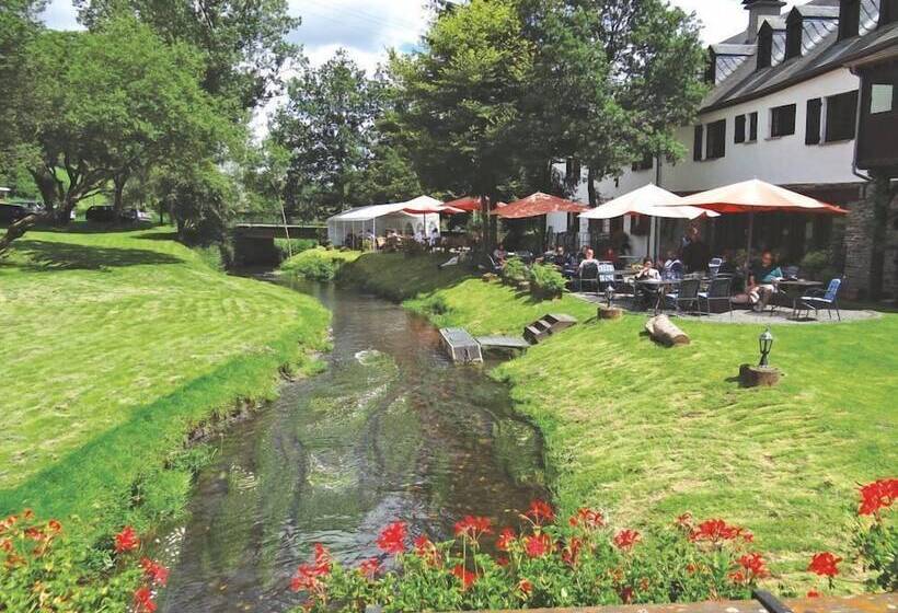 هتل Domaine Du Moulin D'asselborn