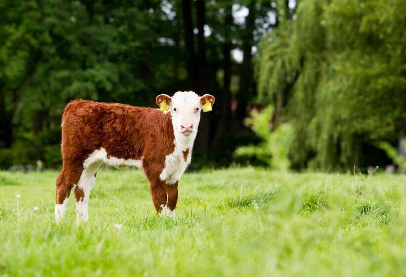 酒店 En B&b Erve Bruggert