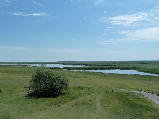 Bed and Breakfast Illmitzerhof Wohlfühlpension