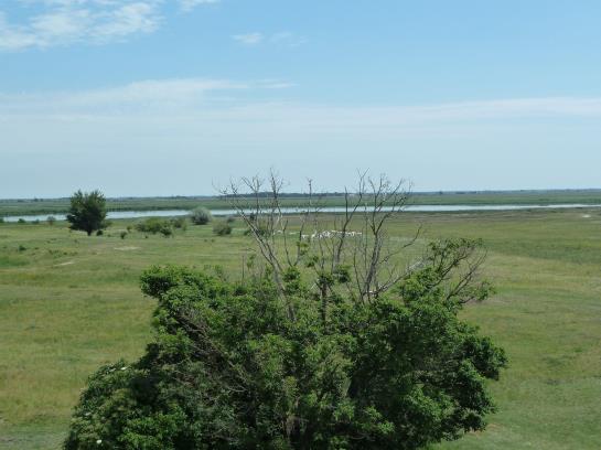 Bed and Breakfast Illmitzerhof Wohlfühlpension