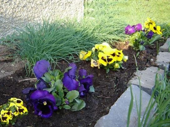 فندق Ferienhof Auf Der Heidegg