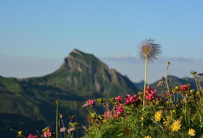 Отель Garni Alpina