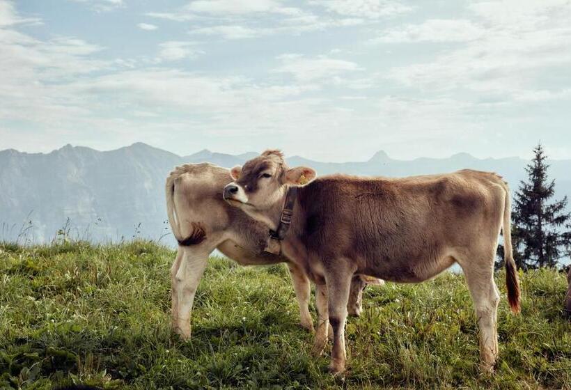 Отель Garni Alpina