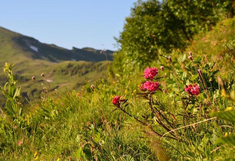 Отель Garni Alpina