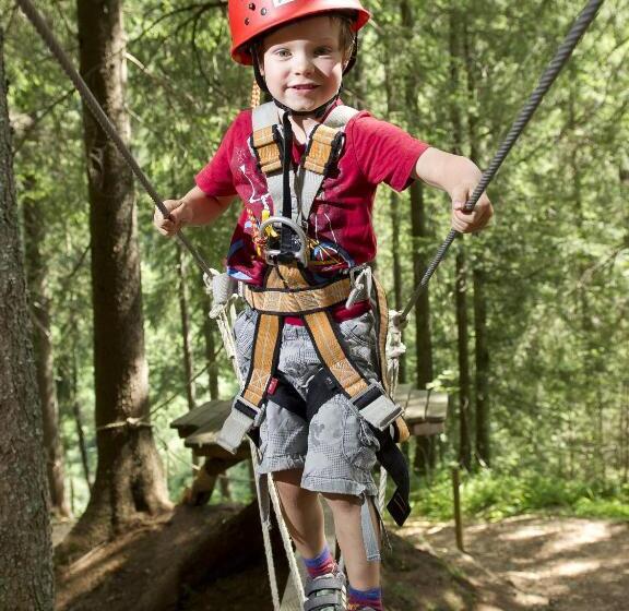 Отель Garni Alpina