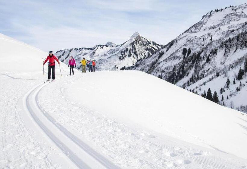 Отель Garni Alpina