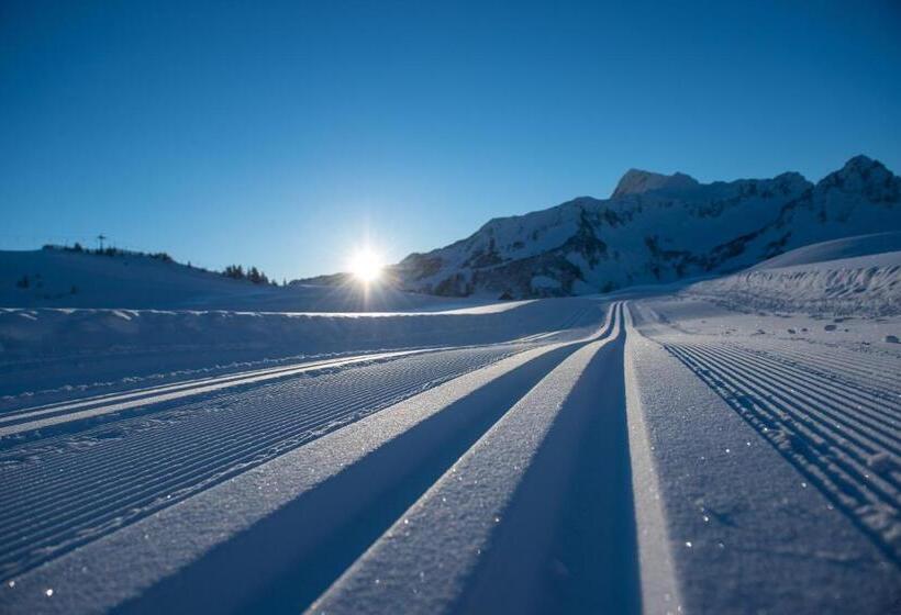 Отель Garni Alpina