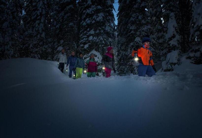 Отель Garni Alpina