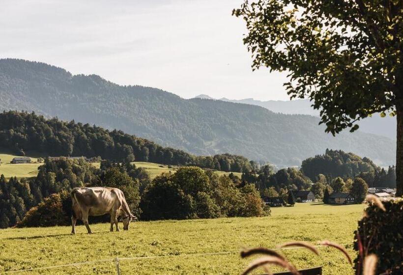 فندق Gasthof Wälderhof