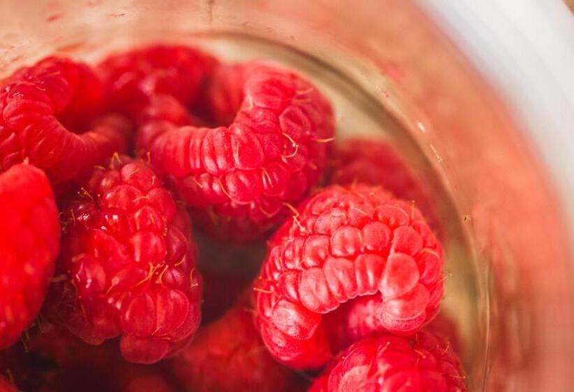 فندق Gasthof Wälderhof