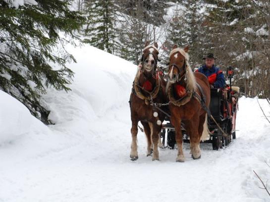 펜션 Gasthof Zimba