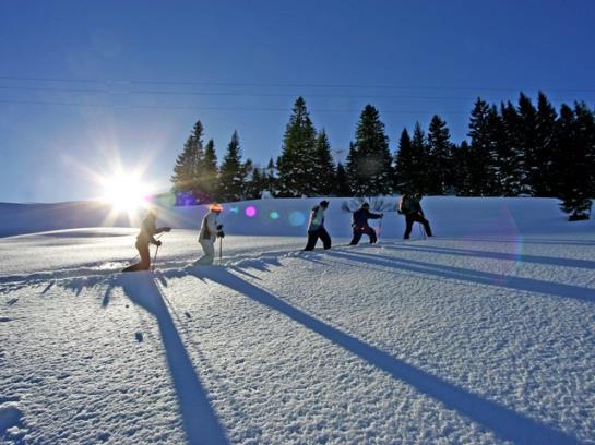 펜션 Gasthof Zimba