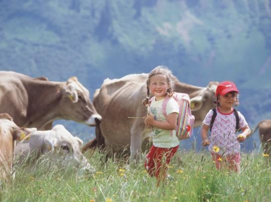 펜션 Gasthof Zimba