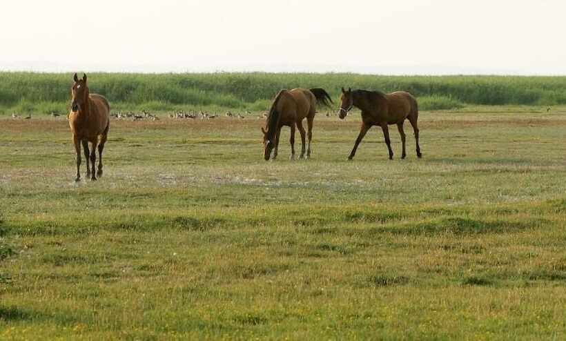 Отель Georgshof