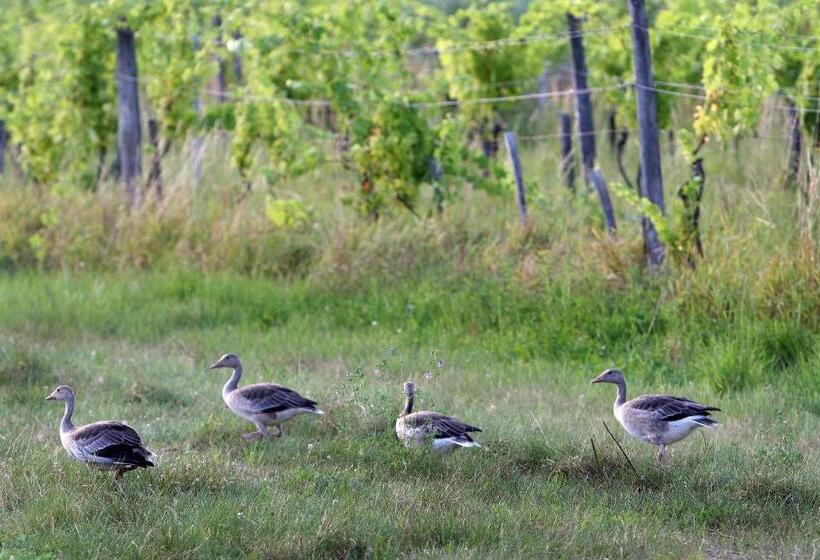 Отель Georgshof