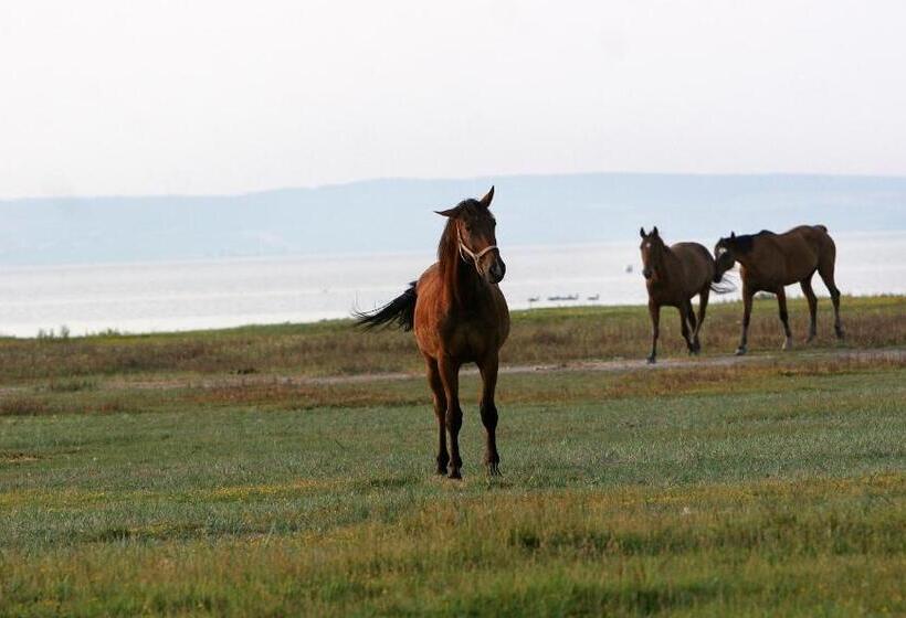 Отель Georgshof