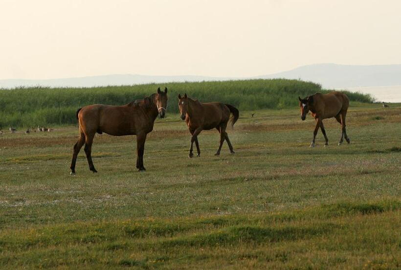 Отель Georgshof