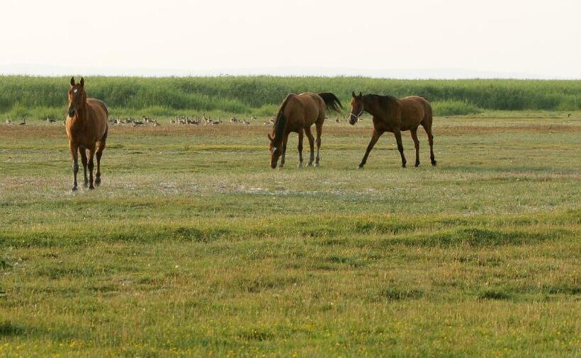 Отель Georgshof