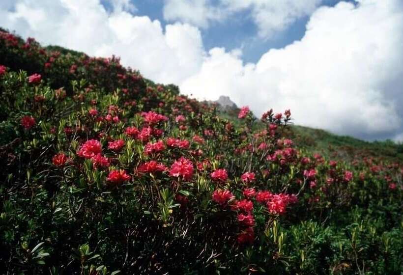 فندق Gästehaus Meusburger