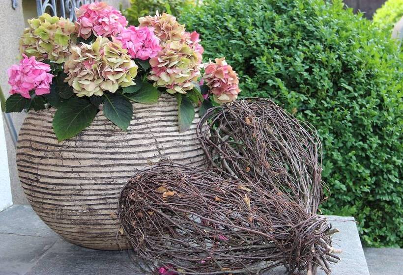 فندق Gästehaus Meusburger