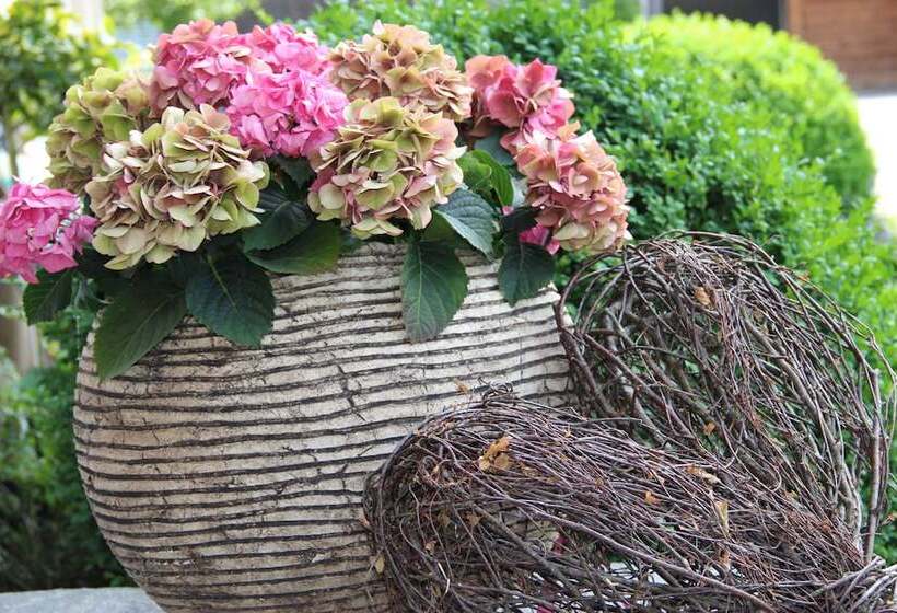 فندق Gästehaus Meusburger