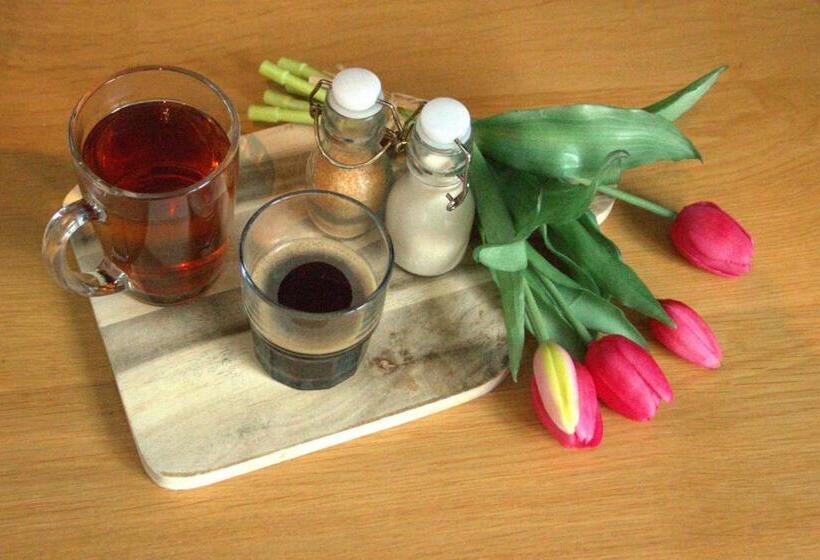 בית מלון כפרי Harteluk Joure