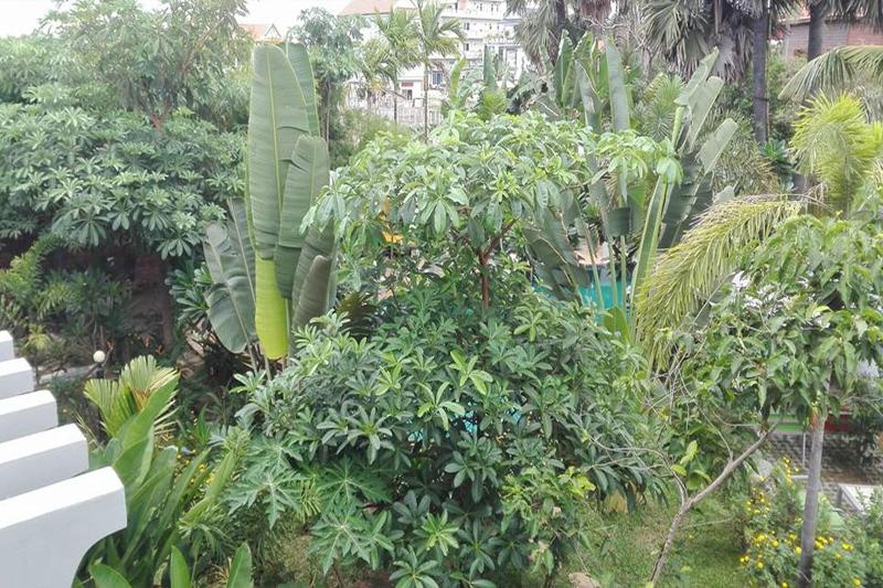 فندق Hak's House