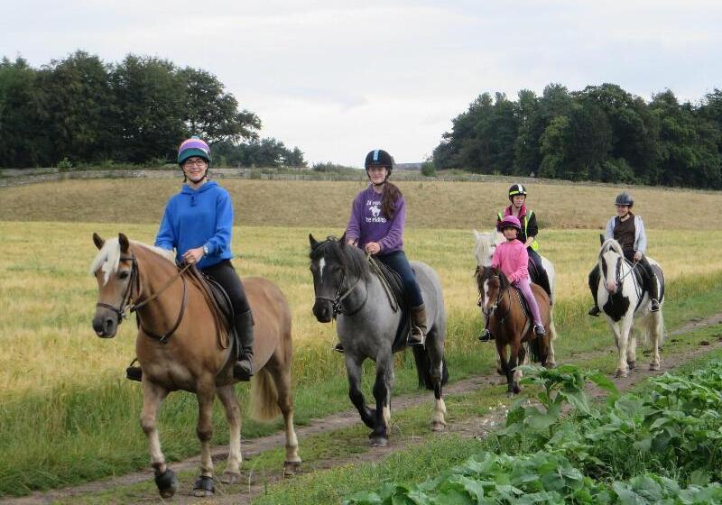 فندق Hak's House