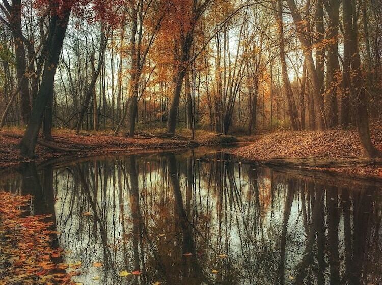 ホテル Hof Van Twente