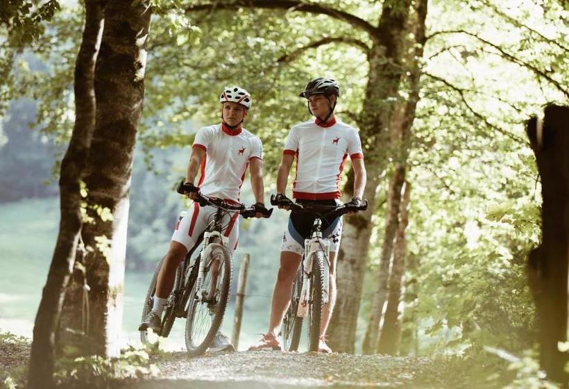 فندق Hubertus Mellau Gmbh