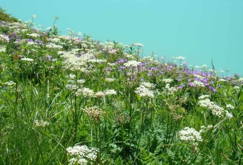 ホテル Montjola Nova