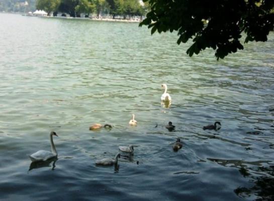 فندق Mühlenhof Mit Herrlichem Bodenseeblick