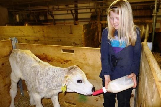فندق Mühlenhof Mit Herrlichem Bodenseeblick