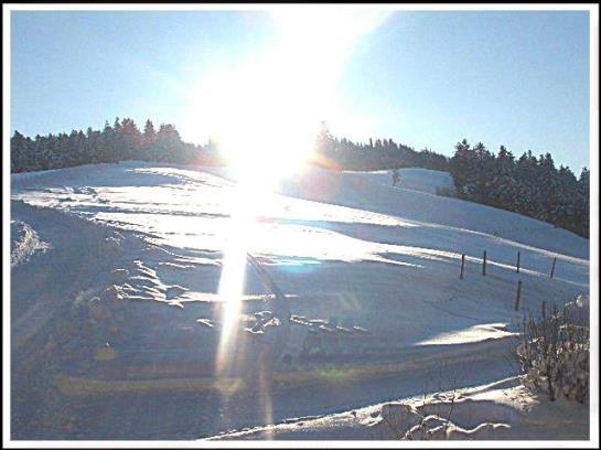 فندق Mühlenhof Mit Herrlichem Bodenseeblick