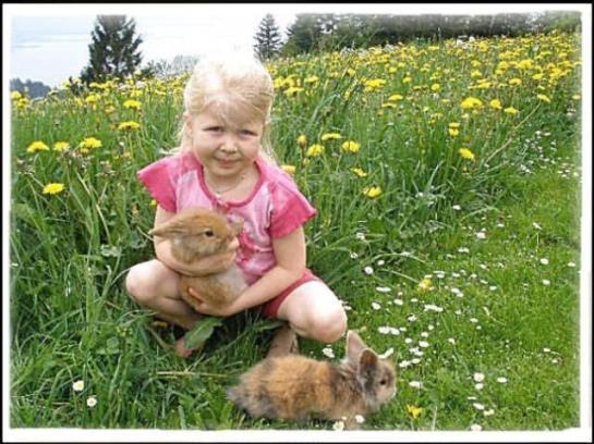 فندق Mühlenhof Mit Herrlichem Bodenseeblick