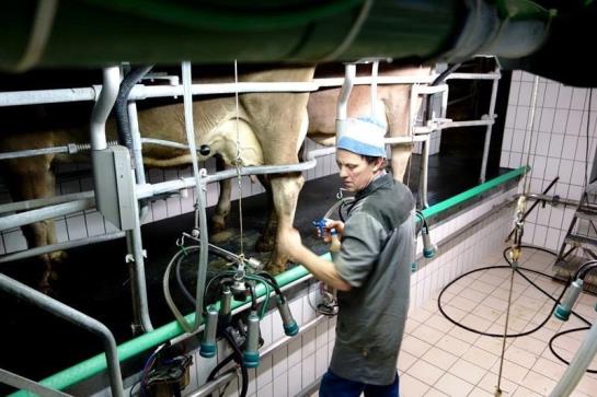 فندق Mühlenhof Mit Herrlichem Bodenseeblick