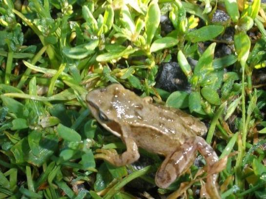 فندق Mühlenhof Mit Herrlichem Bodenseeblick
