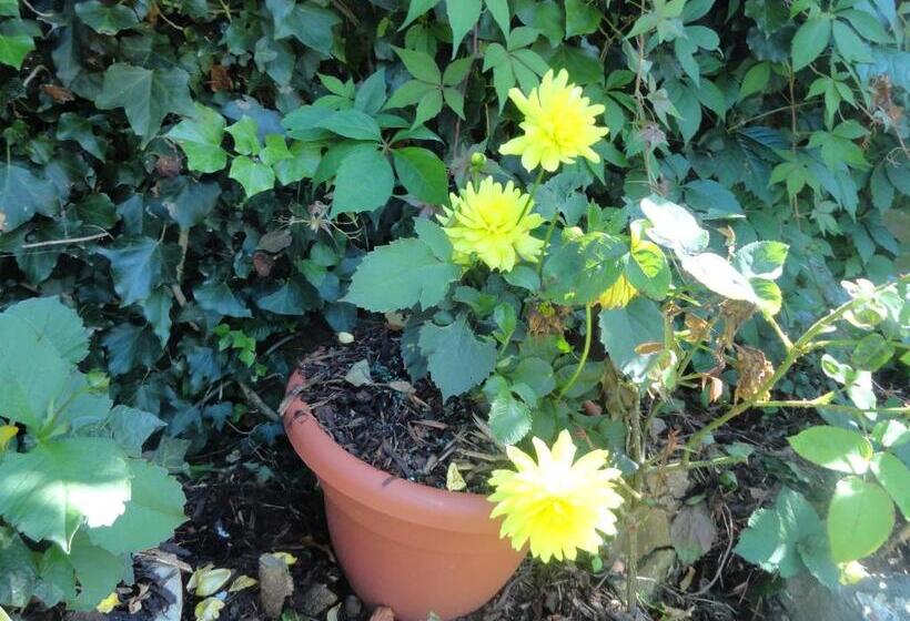 ホテル Orley House B&b