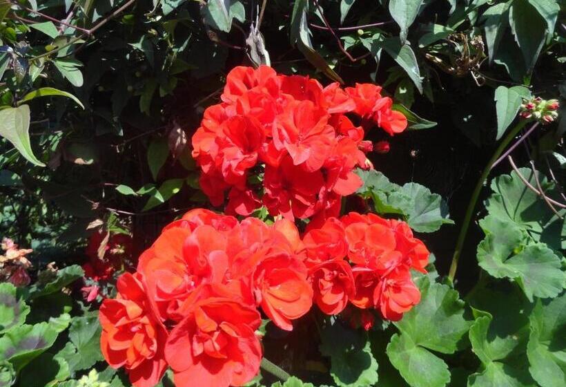 ホテル Orley House B&b