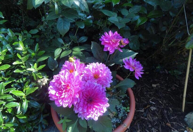 ホテル Orley House B&b