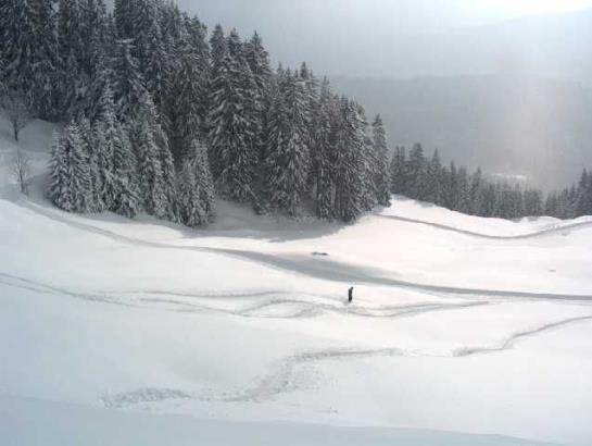 فندق Panoramahuetten Sonderdach