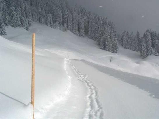 فندق Panoramahuetten Sonderdach