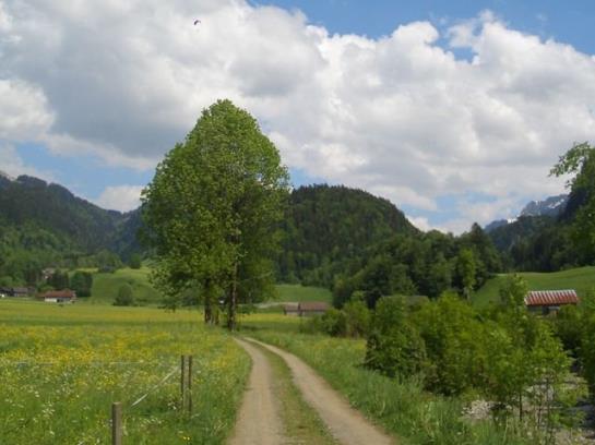 مبيت وإفطار Pension Rössle