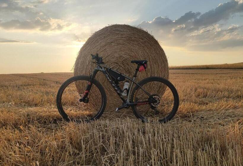 فندق Restaurant Mohren