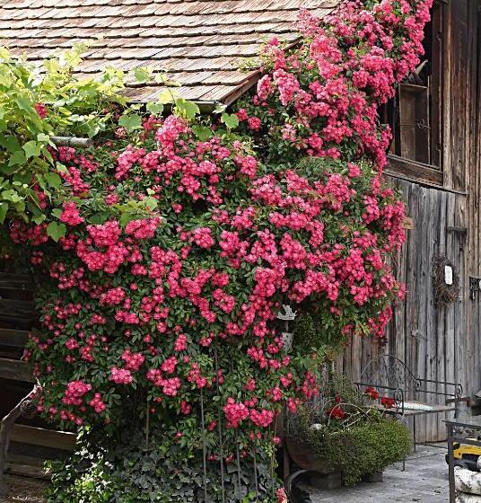 فندق Restaurant Mohren