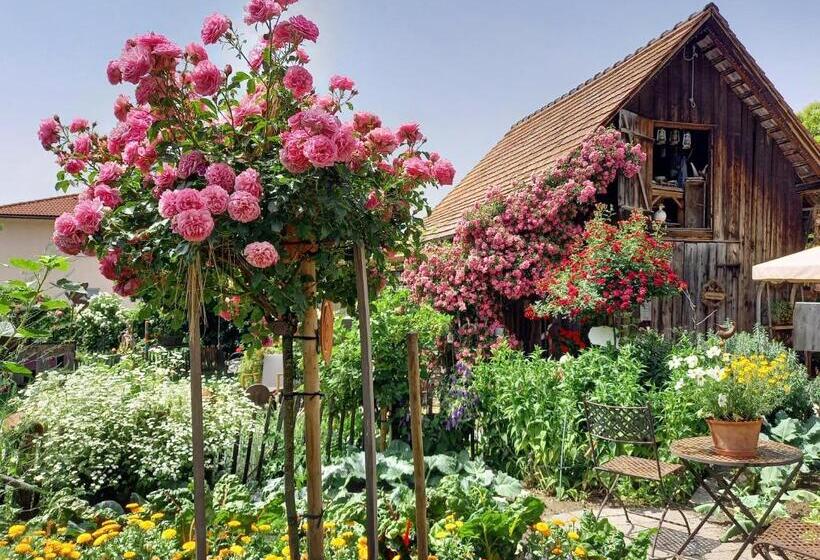 فندق Restaurant Mohren