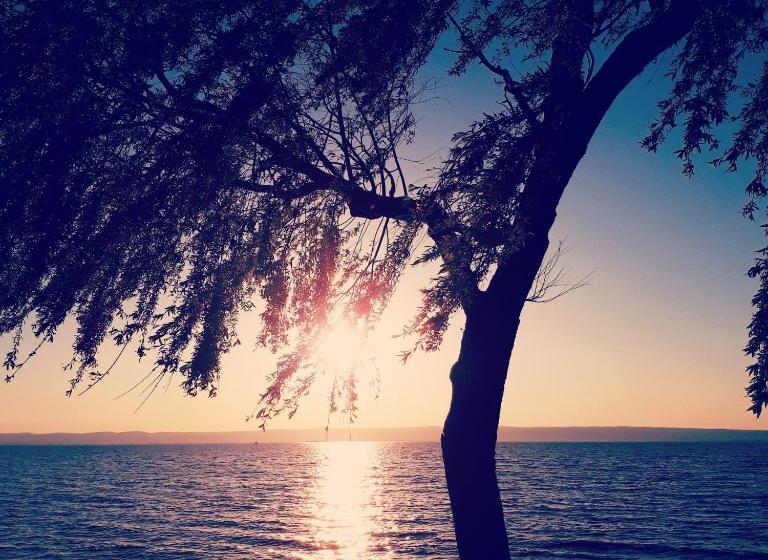 Отель & Restaurant Seehof