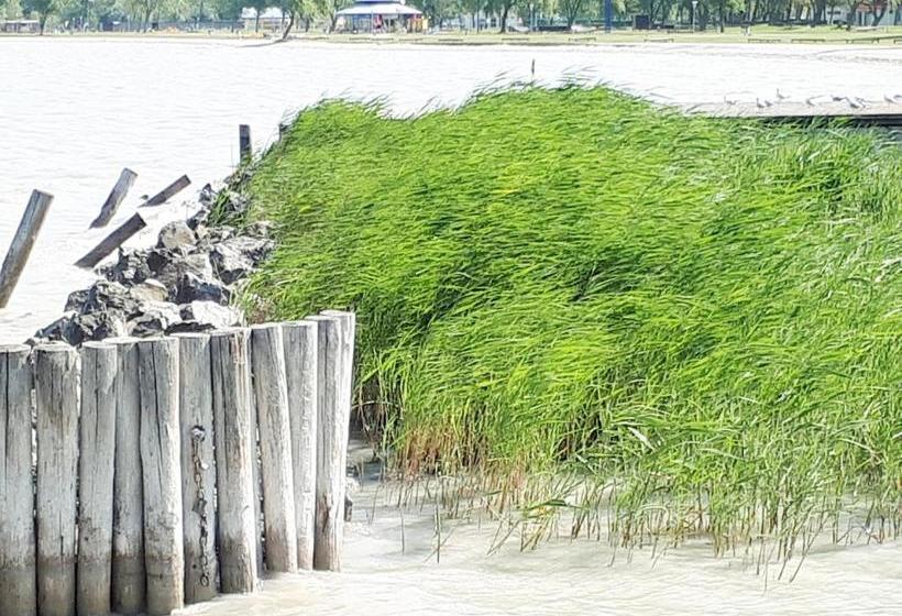 Отель & Restaurant Seehof