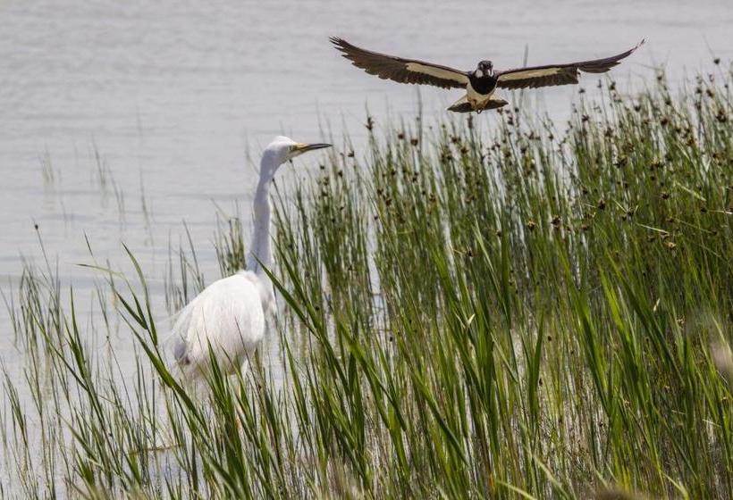 Отель & Restaurant Seehof