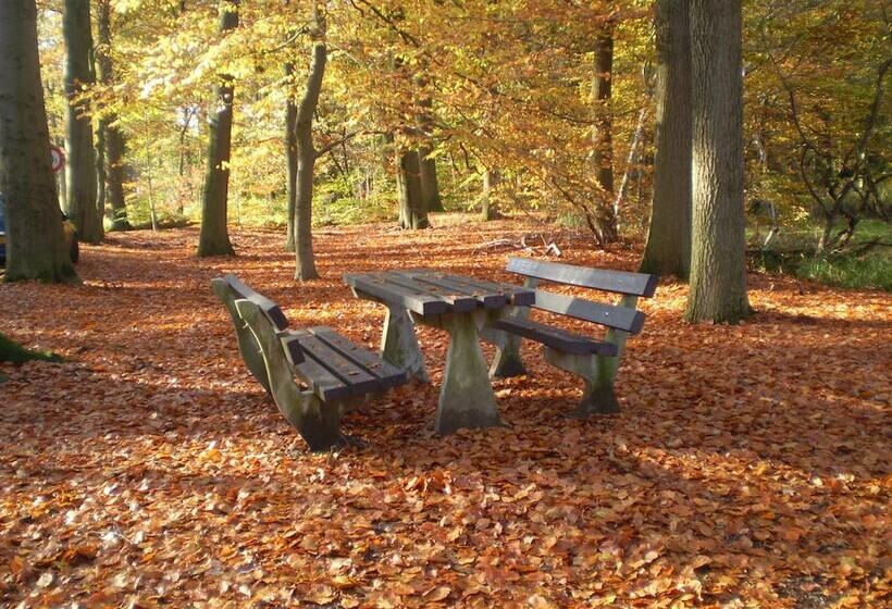 فندق & Restaurant 't Holt